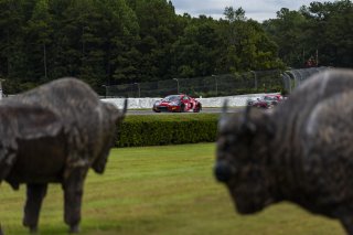 #56 Audi R8 LMS GT3 EVOII of Memo Gidley, SKI AUTOSPORTS, GT America, SRO3, SRO America, Barber Motorsport Park, Leeds, AL, Sept 24 - 27, 2026
 | Andrew Miterko Photography LLC &copy;2026