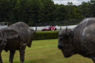 #56 Audi R8 LMS GT3 EVOII of Memo Gidley, SKI AUTOSPORTS, GT America, SRO3, SRO America, Barber Motorsport Park, Leeds, AL, Sept 24 - 27, 2026
 | Andrew Miterko Photography LLC &copy;2026