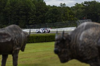 #88 Porsche 911 GT3-R (992) EVO of John Gilliland, Kellymoss, GT America, SRO3, SRO America, Barber Motorsport Park, Leeds, AL, Sept 24 - 27, 2026
 | Andrew Miterko Photography LLC &copy;2026