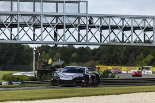 #50 Chevrolet Corvette Z06 GT3.R of Ross Chouest, Chouest Povoledo Racing, GT America, SRO3, SRO America, Barber Motorsport Park, Leeds, AL, Sept 24 - 27, 2026
 | Andrew Miterko Photography LLC &copy;2026