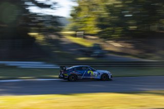 #610 BMW M4 GT4 (G82) EVO of Craig Lumsden, Colorado Motorsport with Flying Lizard, GT America, GT4, SRO America, Barber Motorsport Park, Leeds, AL, Sept 24 - 27, 2026
 | Andrew Miterko Photography LLC &copy;2026