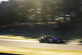 #13 Porsche 911 GT3-R (992) EVO of Todd Parriott, Kellymoss, GT America, SRO3, SRO America, Barber Motorsport Park, Leeds, AL, Sept 24 - 27, 2026
 | Andrew Miterko Photography LLC &copy;2026