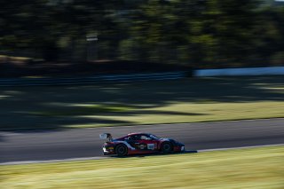 #19 Porsche 911 GT3-R (992) of Joel Cortes, RS1, GT America, SRO3, SRO America, Barber Motorsport Park, Leeds, AL, Sept 24 - 27, 2026
 | Andrew Miterko Photography LLC &copy;2026