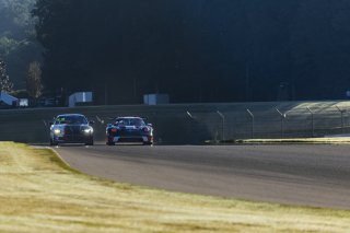 #19 Porsche 911 GT3-R (992) of Joel Cortes, RS1, GT America, SRO3, SRO America, Barber Motorsport Park, Leeds, AL, Sept 24 - 27, 2026
 | Andrew Miterko Photography LLC &copy;2026
