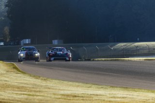 #610 BMW M4 GT4 (G82) EVO of Craig Lumsden, Colorado Motorsport with Flying Lizard, GT America, GT4, SRO America, Barber Motorsport Park, Leeds, AL, Sept 24 - 27, 2026
 | Andrew Miterko Photography LLC &copy;2026