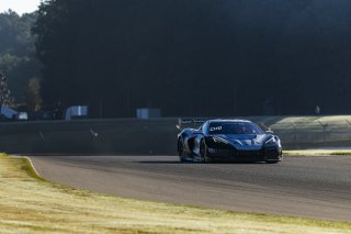 #50 Chevrolet Corvette Z06 GT3.R of Ross Chouest, Chouest Povoledo Racing, GT America, SRO3, SRO America, Barber Motorsport Park, Leeds, AL, Sept 24 - 27, 2026
 | Andrew Miterko Photography LLC &copy;2026