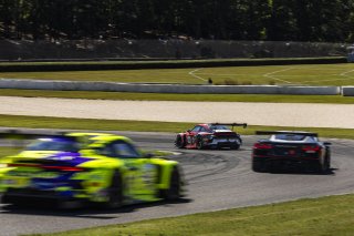 #19 Porsche 911 GT3-R (992) of Joel Cortes, RS1, GT America, SRO3, SRO America, Barber Motorsport Park, Leeds, AL, Sept 24 - 27, 2026
 | Andrew Miterko Photography LLC &copy;2026