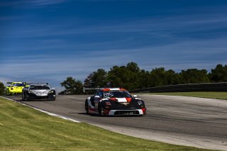 #19 Porsche 911 GT3-R (992) of Joel Cortes, RS1, GT America, SRO3, SRO America, Barber Motorsport Park, Leeds, AL, Sept 24 - 27, 2026
 | Andrew Miterko Photography LLC &copy;2026