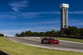 #89 Ginetta GTP8 of David Lecko, RacingSupport, GT America, Cup, SRO America, Barber Motorsport Park, Leeds, AL, Sept 24 - 27, 2026
 | Andrew Miterko Photography LLC &copy;2026