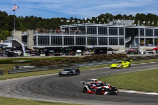 #19 Porsche 911 GT3-R (992) of Joel Cortes, RS1, GT America, SRO3, SRO America, Barber Motorsport Park, Leeds, AL, Sept 24 - 27, 2026
 | Andrew Miterko Photography LLC &copy;2026