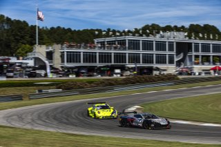 #50 Chevrolet Corvette Z06 GT3.R of Ross Chouest, Chouest Povoledo Racing, GT America, SRO3, SRO America, Barber Motorsport Park, Leeds, AL, Sept 24 - 27, 2026
 | Andrew Miterko Photography LLC &copy;2026