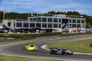#50 Chevrolet Corvette Z06 GT3.R of Ross Chouest, Chouest Povoledo Racing, GT America, SRO3, SRO America, Barber Motorsport Park, Leeds, AL, Sept 24 - 27, 2026
 | Andrew Miterko Photography LLC &copy;2026