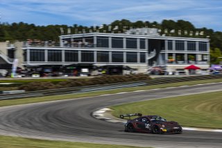 #216 Porsche 911 GT3-R of Jon Manship, Wright Motorsports, GT America, SRO3, SRO America, Barber Motorsport Park, Leeds, AL, Sept 24 - 27, 2026
 | Andrew Miterko Photography LLC &copy;2026