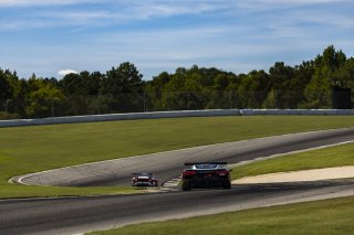 #50 Chevrolet Corvette Z06 GT3.R of Ross Chouest, Chouest Povoledo Racing, GT America, SRO3, SRO America, Barber Motorsport Park, Leeds, AL, Sept 24 - 27, 2026
 | Andrew Miterko Photography LLC &copy;2026