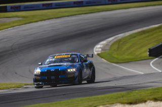 #11 Ford Mustang GT4 (S650) of Zachry Lee, McCumbee McAleer Racing, GT America, GT4, SRO America, Barber Motorsport Park, Leeds, AL, Sept 24 - 27, 2026
 | Andrew Miterko Photography LLC &copy;2026