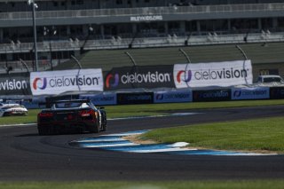#50 Chevrolet Corvette Z06 GT3.R of Ross Chouest, Chouest Povoledo Racing, GT America, SRO3, SRO America, Indianapolis 8 Hour, Indianapolis Motor Speedway, Speedway, IN, Oct 7 - 11, 2026
 | Andrew Miterko Photography LLC &copy;2026